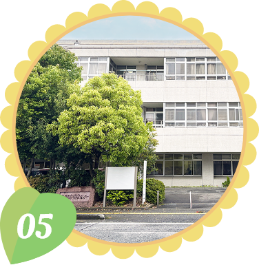 05